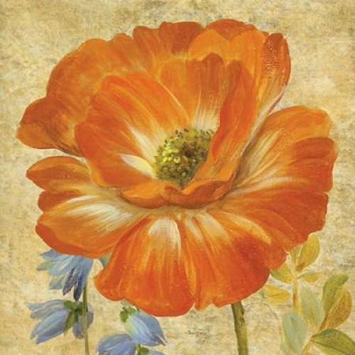 Primavera II Poster Print by Pamela Gladding - Item # VARPDXRB7357PG
