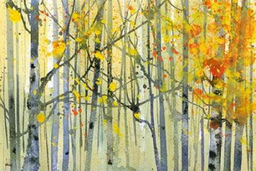 Autumn Birches Poster Print by  Paul Bailey - Item # VARPDXB3305D