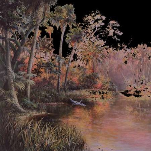 Myakka Sunset Poster Print by Art Fronckowiak - Item # VARPDXF382D Myakka Sunset Poster Print by Art Fronckowiak - Item # VARPDXF382D