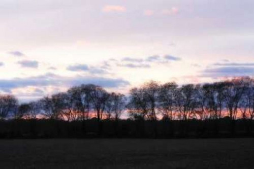 Winter Sunset I Poster Print by Alan Hausenflock - Item # VARPDXPSHSF593