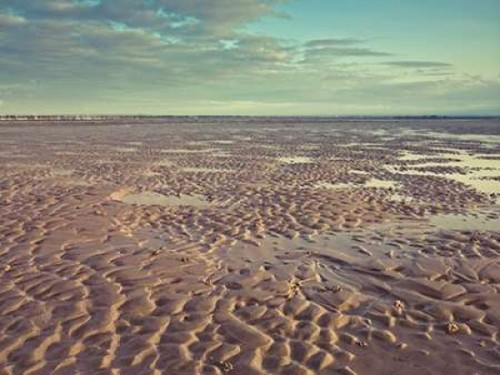 West Wittering beach at sunrise Poster Print by  Assaf Frank - Item # VARPDXAF20080817055C02