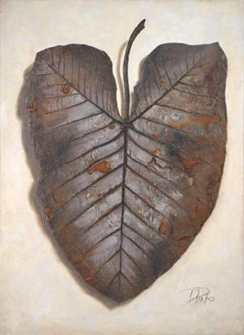 Mafafa I Poster Print by Patricia Pinto - Item # VARPDX7152