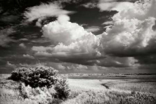 Everette Bay I Poster Print by Alan Hausenflock - Item # VARPDXPSHSF1224