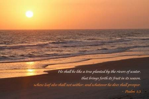 Sunrise II Poster Print by Kathy Mansfield - Item # VARPDX8955D