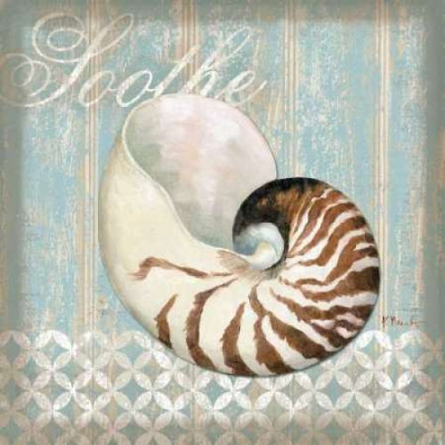 Spa Shells III Poster Print by Paul Brent