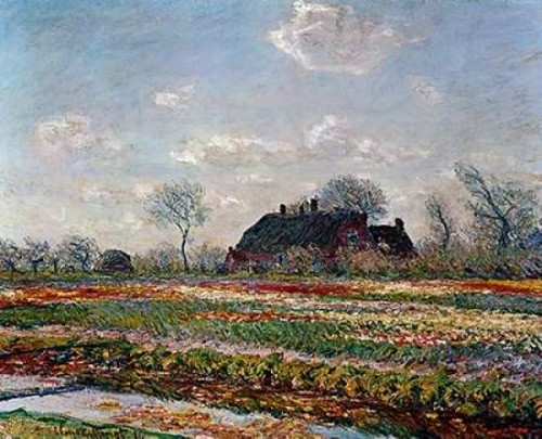 Tulip Field Sassenheim Poster Print by  Vincent Van Gogh - Item # VARPDX374574
