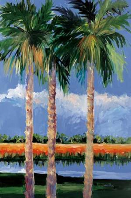 Palm Coast Poster Print by Jane Slivka - Item # VARPDX9267C