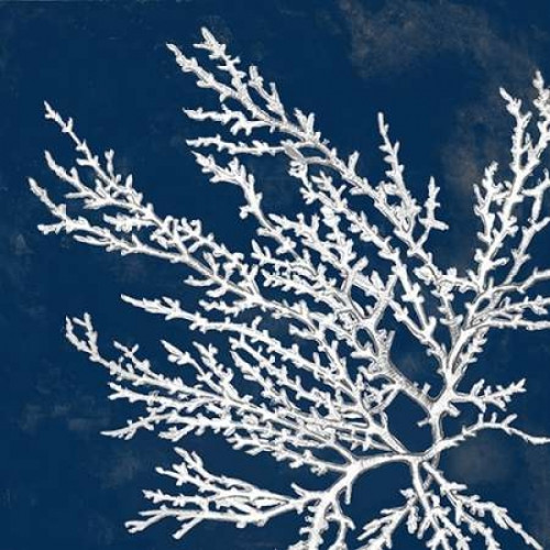 Coastal Coral I Poster Print by Lanie Loreth - Item # VARPDX8598L