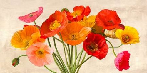 Poppies in Spring Poster Print by Luca Villa - Item # VARPDX2LC2928