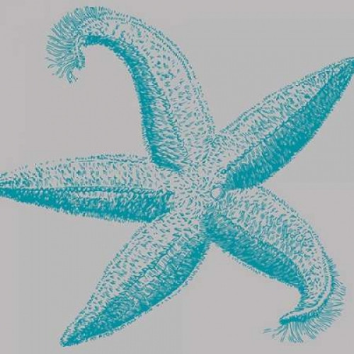 Sea Stars I Poster Print by Sabine Berg - Item # VARPDX18255