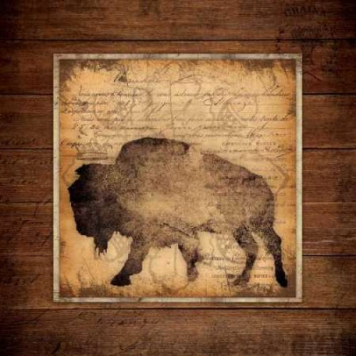 Bison King Poster Print by Stephanie Marrott - Item # VARPDXSM10253