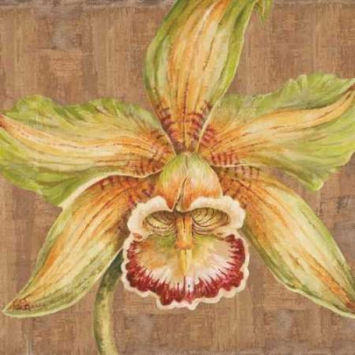 Aloha Beauty I Poster Print by Judy Shelby