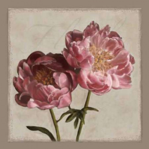 Botanical Peony Poster Print by Janel Pahl - Item # VARPDXPLP143