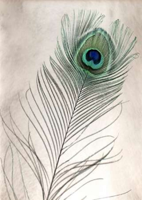 Feathers - 11 Poster Print by Alan Blaustein - Item # VARPDXABSLF109
