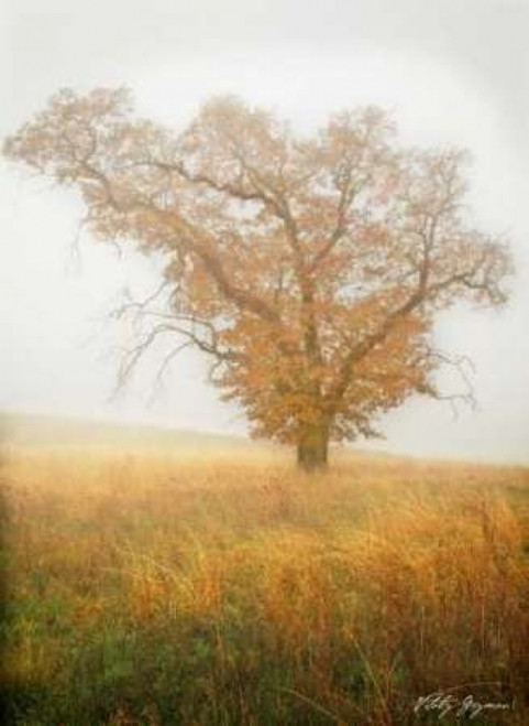 Autumn Mist II Poster Print by Vitaly Geyman - Item # VARPDXPSVIT147