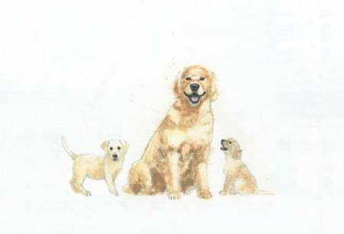 Dog and Puppies Poster Print by Emily Adams - Item # VARPDX23730