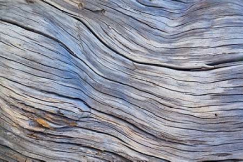 Weathered Wood III Poster Print by Kathy Mahan - Item # VARPDXPSMHN492