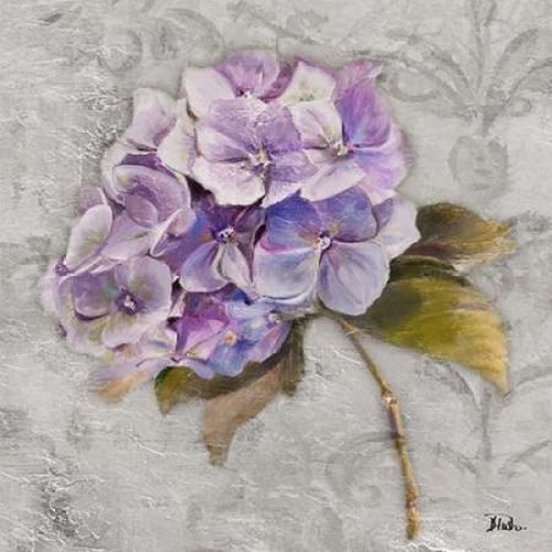 Lavender Flourish Square II Poster Print by Patricia Pinto - Item # VARPDX8601T