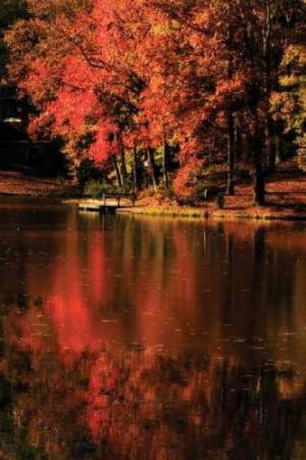 Red Reflections Poster Print by Alan Hausenflock - Item # VARPDXPSHSF257