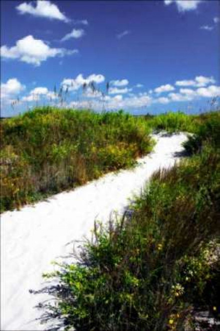 A Sandy Pathway II Poster Print by Alan Hausenflock - Item # VARPDXPSHSF201