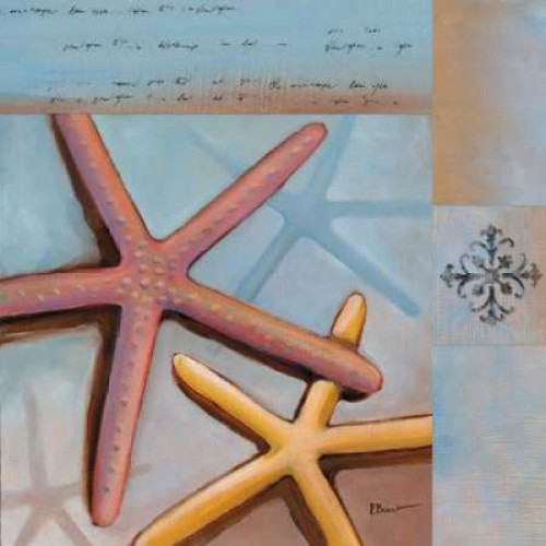Sanibel Starfish Poster Print by Paul Brent