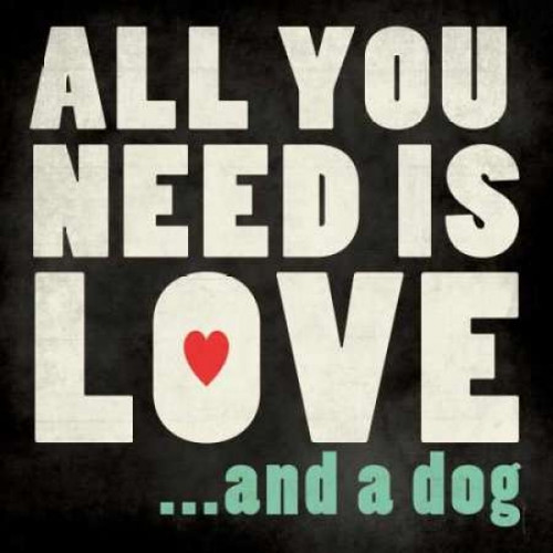 All You Need - Dog Poster Print by Stephanie Marrott - Item # VARPDXSM10491