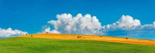 Corn field harvested, Tuscany, Italy Poster Print by  Frank Krahmer - Item # VARPDX4FK3152