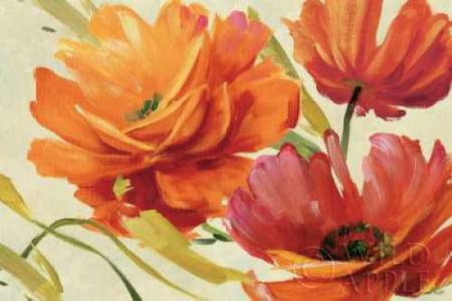 Flamboyant III Poster Print by Lisa Audit - Item # VARPDX2203