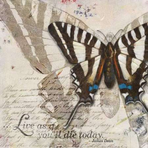 Living your Dreams II Poster Print by Patricia Pinto - Item # VARPDX6230A