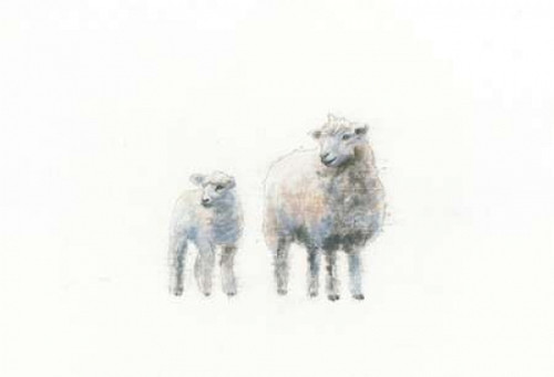 Sheep and Lamb Poster Print by Emily Adams - Item # VARPDX23725