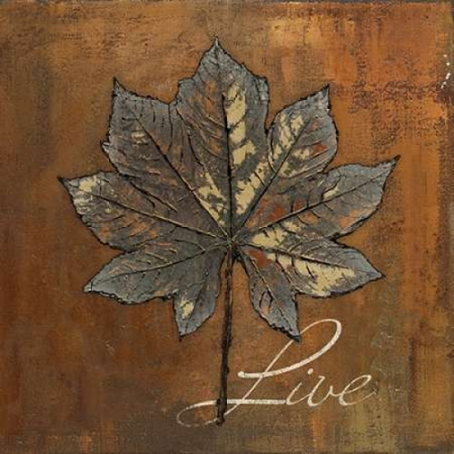 Maple Live Poster Print by  Patricia Pinto - Item # VARPDX7322P