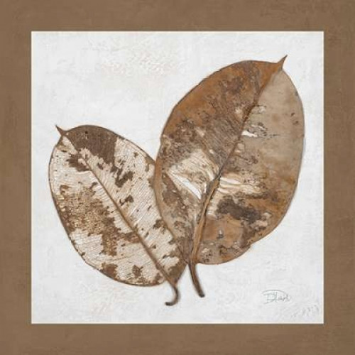 Beauty of Simplicity II Poster Print by Patricia Pinto - Item # VARPDX6110