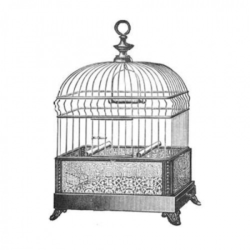 Etchings: Birdcage - Gable top filigree base. Poster Print by Catalog Illustration - Item # VARPDX454824