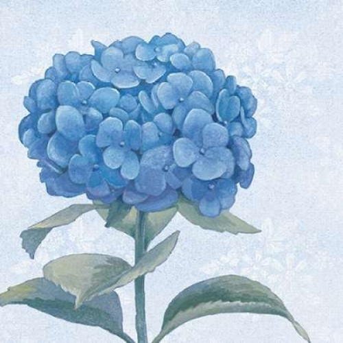 Blue Hydrangea III Poster Print by Beth Grove - Item # VARPDX21476