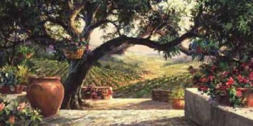 Napa Patio Poster Print by Art Fronckowiak - Item # VARPDXF355D