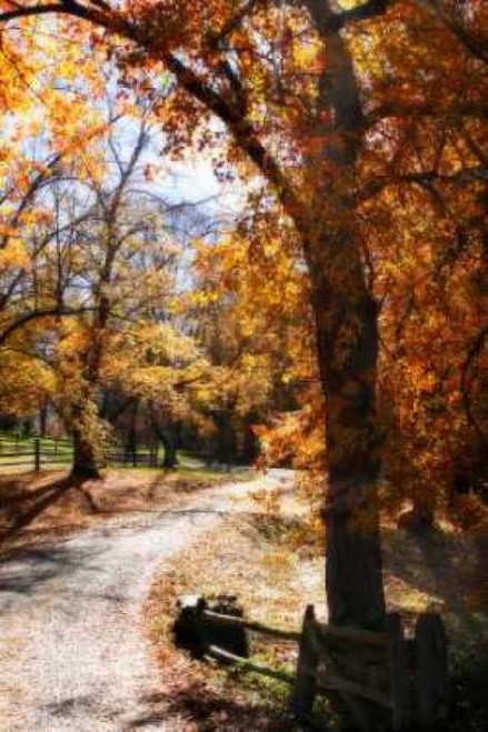 Autumn on Kent Farm IV Poster Print by Alan Hausenflock - Item # VARPDXPSHSF956