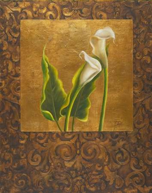 Calla Lily with Arabesque II Poster Print by Patricia Pinto - Item # VARPDX6066