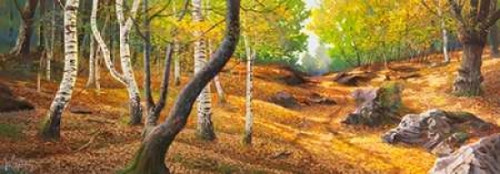 Sentiero nel bosco Poster Print by Adriano Galasso - Item # VARPDX4AD2364
