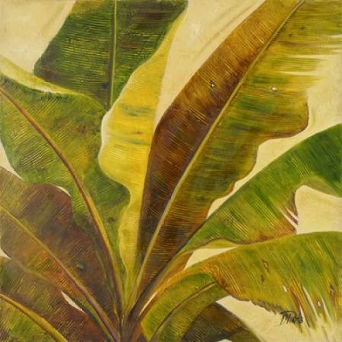 Uraba I Poster Print by Patricia Pinto - Item # VARPDX6144