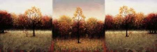 Trois Scenes Poster Print by Travis Hall - Item # VARPDXHTP100