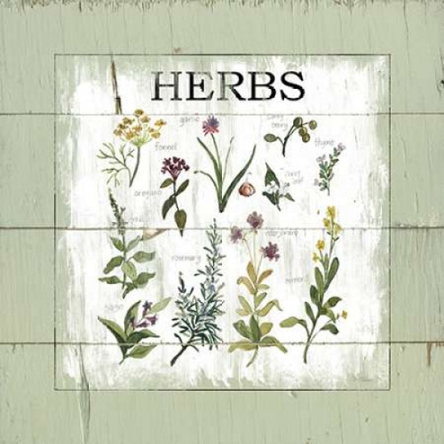 Shiplap Herbs Poster Print by  Carol Robinson - Item # VARPDX17475 Shiplap Herbs Poster Print by  Carol Robinson - Item # VARPDX17475