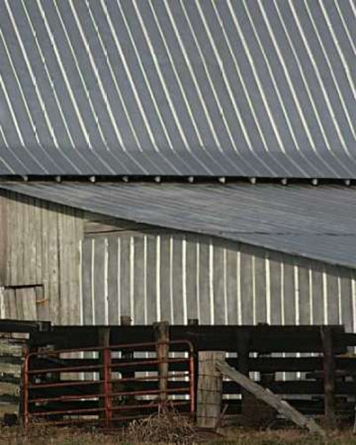 Big Barn I Poster Print by Scott Larson - Item # VARPDXPSLAR100