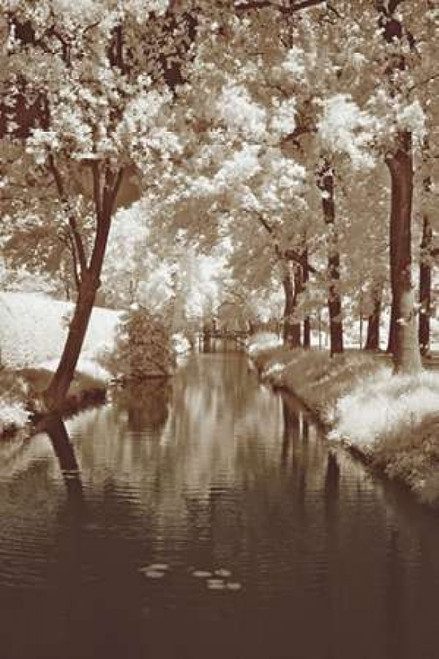 Water Under the Bridge Poster Print by  Ily Szilyagi - Item # VARPDXSIP270