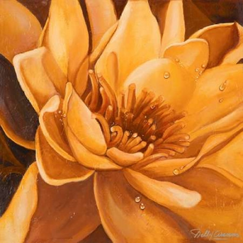 Flor de Loto II Poster Print by  Nelly Arenas - Item # VARPDX6117