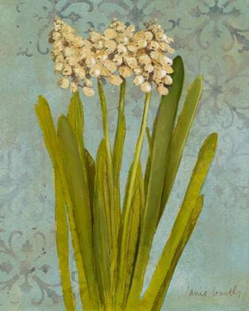 Hyacinth on Teal II Poster Print by Lanie Loreth - Item # VARPDX6893A