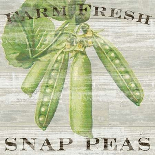 Farm Fresh Peas Poster Print by Sue Schlabach