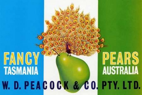 Peacock Pears Poster Print by Retrolabel - Item # VARPDX376029