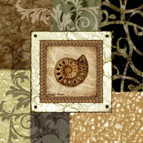 Nautilus II Poster Print by Michael Marcon - Item # VARPDX6969