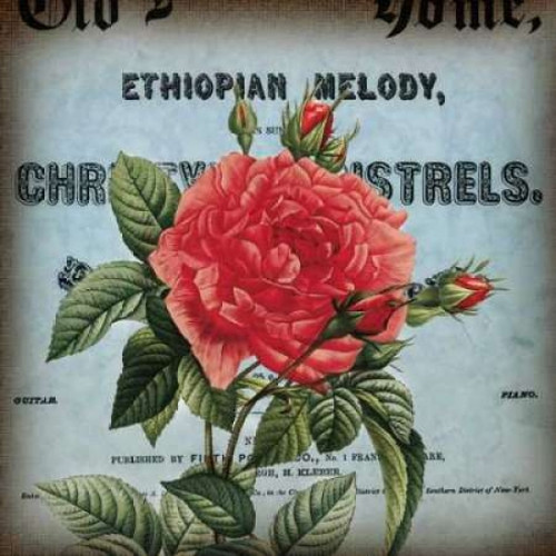 Petite Rose II Poster Print by Sabine Berg - Item # VARPDX18194
