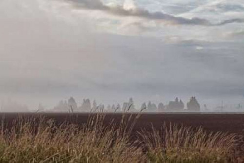 Foggy Morning II Poster Print by Dana Styber - Item # VARPDXPSSTY257